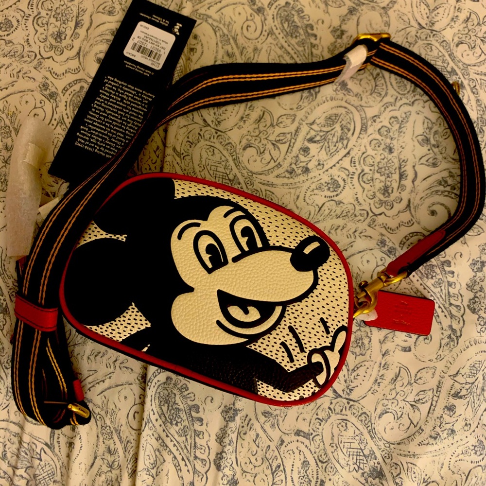 Coach mickey mouse by keith haring